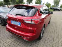 Gebraucht Ford Kuga ST-Line X 150 PS (110 kW) 2020 Lucidrot (metallic) SUV