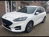 Gebraucht Ford Kuga ST-Line 224 PS (164 kW) 2021 Weiß SUV