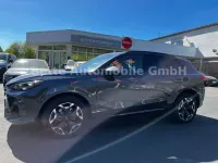 Neu Cupra Terramar VZ 265 PS (194 kW) 2026 Grau SUV