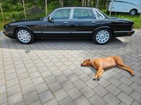 Gebraucht Jaguar XJ8 363 PS (266 kW) 1998 Schwarz Limousine