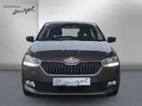 Gebraucht Skoda Fabia Cool Plus 95 PS (69 kW) 2019 Maple braun metallic Kleinwagen