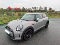 Gebraucht Mini Cooper Hatch 136 PS (100 kW) 2021 Grau Kleinwagen