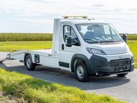 Neu Toyota Proace 181 PS (133 kW) 2025 Weiß Van / Kleinbus