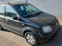 Gebraucht Fiat Panda 60 PS (44 kW) 2009 Schwarz Kleinwagen
