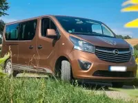 Gebraucht Opel Vivaro 145 PS (106 kW) 2017 Braun Van / Kleinbus