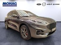 Gebraucht Ford Kuga ST-Line X 224 PS (164 kW) 2022 Grau SUV