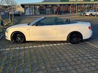 Gebraucht Audi A5 Cabriolet S-Line 170 PS (125 kW) 2013 Weiß Cabrio