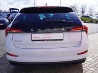 Gebraucht Skoda Scala 110 PS (80 kW) 2021 Weiß Kleinwagen