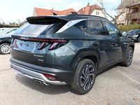 Neu Hyundai Tucson 239 PS (175 kW) 2025 Cypress green mineraleffekt SUV