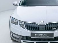 gebraucht Skoda Octavia Combi SCOUT