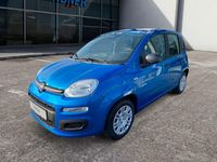 Neu Fiat Panda 69 PS (50 kW) 2025 Blau Limousine