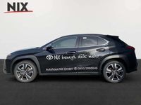 gebraucht Lexus UX 250h Executive Line SCHIEBEDACH PREMIUM PAKET VORFÜHRWAGEN