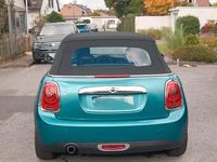 Gebraucht Mini Cooper Cabriolet 136 PS (100 kW) 2016 Grün Cabrio