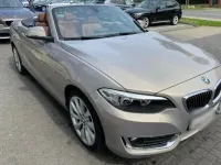 Gebraucht BMW 230 Luxury Line 252 PS (185 kW) 2016 Silber Cabrio