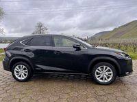Gebraucht Lexus NX300h E-FOUR Luxury Line 155 PS (114 kW) 2017 SUV