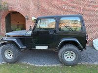 Gebraucht Jeep Wrangler 121 PS (88 kW) 1994 Schwarz SUV