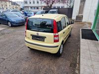 gebraucht Fiat Panda 1.2 8V Dynamic