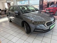 Gebraucht Skoda Octavia Style 150 PS (110 kW) 2023 Grau Kombi