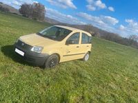 Gebraucht Fiat Panda 54 PS (39 kW) 2009 Gelb Kleinwagen
