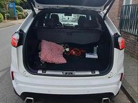 Gebraucht Ford Edge ST-Line 238 PS (175 kW) 2020 Weiß SUV
