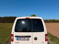 Second-hand VW Caddy 145 CP (106 kW) 2014 Alb Monovolum