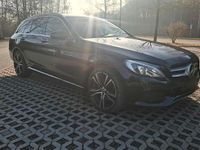 Gebraucht Mercedes C220 170 PS (125 kW) 2017 Kombi