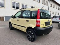 Gebraucht Fiat Panda 4x4 Trekking 60 PS (44 kW) 2010 Gelb Kleinwagen
