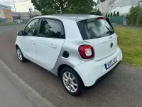 Usata Smart ForFour 71 CV (52 kW) 2015 Bianco Utilitaria