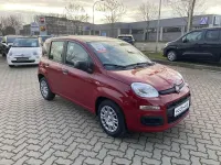 Neu Fiat Panda 69 PS (50 kW) 2025 Passione rot dach schwarz (rot Kleinwagen