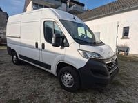 Gebraucht Opel Movano 165 PS (121 kW) 2022 Weiß Van