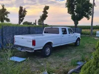Gebraucht Ford V8 1992 Weiß