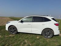 Gebraucht Ford Kuga ST-Line 224 PS (164 kW) 2021 Weiß SUV