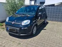 Gebraucht Fiat Panda Pop 69 PS (50 kW) 2023 Schwarz Kleinwagen