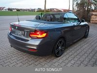 Gebraucht BMW 230 M Sport 252 PS (185 kW) 2021 Grau Cabrio