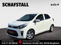 Gebraucht Kia Picanto Vision 67 PS (49 kW) 2024 Weiss ((ud) schneeweiss) Kleinwagen