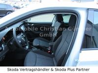 gebraucht Skoda Scala Clever 125 1.0 TSI 81 KW LED Navi