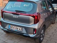 Neu Kia Picanto Vision 63 PS (46 kW) 2025 Grau Kleinwagen