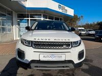 Gebraucht Land Rover Range Rover evoque SE 150 PS (110 kW) 2016 Weiß SUV