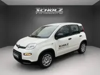 Usata Fiat Panda 70 CV (51 kW) 2024 Bianco Utilitaria