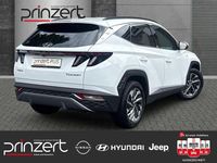 Gebraucht Hyundai Tucson Trend 150 PS (110 kW) 2021 Polar white / sol SUV