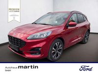 Gebraucht Ford Kuga ST-Line X 150 PS (110 kW) 2020 Rot SUV