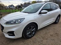 Gebraucht Ford Kuga ST-Line X 250 PS (183 kW) 2020 Weiß SUV