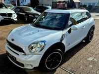 Gebraucht Mini Cooper S Paceman 184 PS (135 kW) 2013 Light white SUV