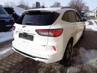 Gebraucht Ford Kuga ST-Line X 150 PS (110 kW) 2020 Weiß SUV