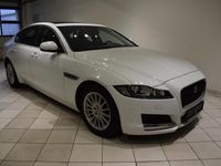 Gebraucht Jaguar XF 179 PS (131 kW) 2016 Weiß metallic Limousine
