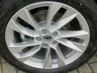 Neu Skoda Scala Essence 116 PS (85 kW) 2025 Grau Kleinwagen