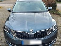 gebraucht Skoda Octavia G-TEC 1.4 TSI DSG Ambition Combi Amb...