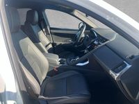 Gebraucht Jaguar E-Pace R-Dynamic 165 PS (121 kW) 2023 Weiss SUV