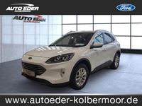 Gebraucht Ford Kuga Titanium X 190 PS (139 kW) 2022 Frostweiß SUV