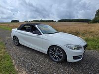 Gebraucht BMW 220 Advantage 190 PS (139 kW) 2016 Weiß Cabrio